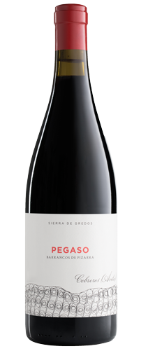 VINO TELMO RODRIGUEZ PEGASO PIZARRA 2021 750 ML